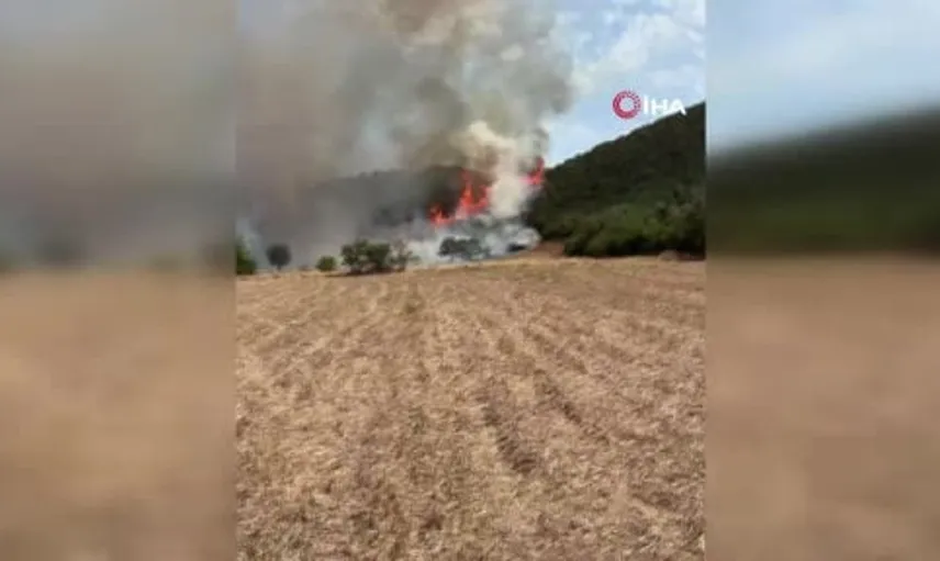 Sındırgı'da orman yangınına karada ve havada müdahale devam ediyor