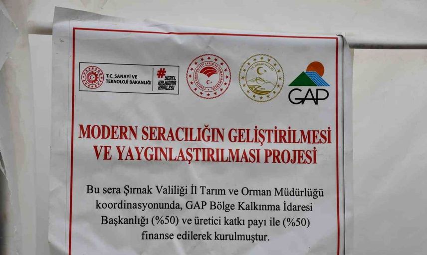 Şırnak'ta aileler devlet desteğiyle sera kurarak gelir elde ediyor