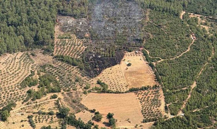 Yatağan'da zirai yangın kontrol altına alındı