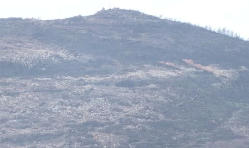 İzmir Büyükşehir Belediyesi, yangın mağduru üreticilere yem desteği sağlıyor
