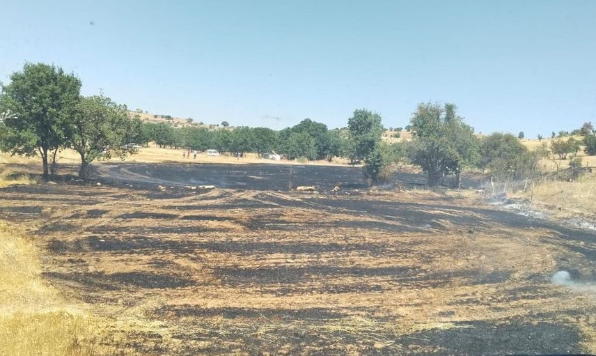Tütsü için yakılan ateş felaketle sonuçlandı: 35 arı kovanı ve 20 meyve ağacı yok oldu