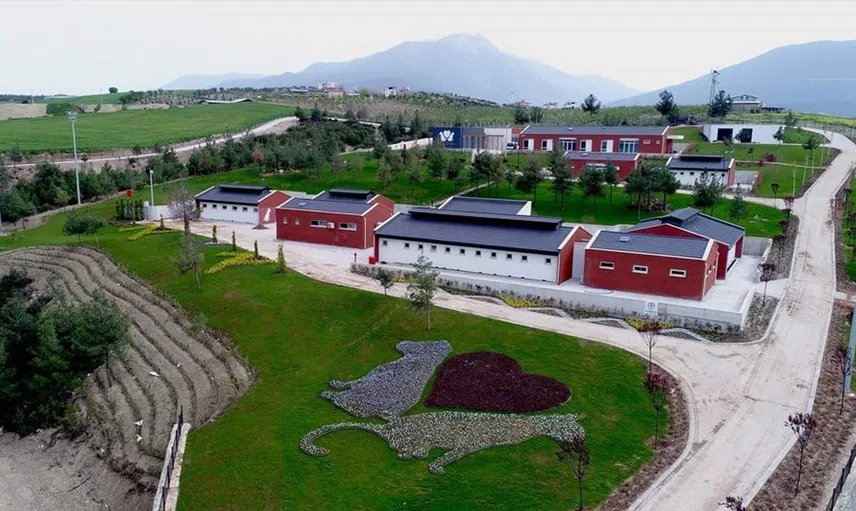 Denizli Büyükşehir Belediyesi, asılsız barınak iddialarına karşı suç duyurusunda bulundu