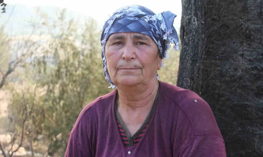 Aladağ'da orman yangını: 19 ev kül oldu