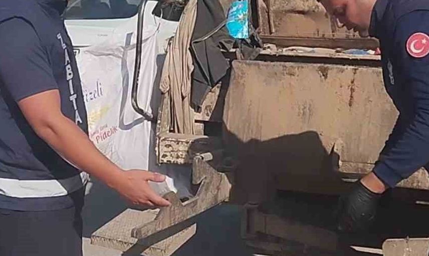 Hatay'da yapılan denetimde çiğ ve bozuk tavuklar ele geçirildi