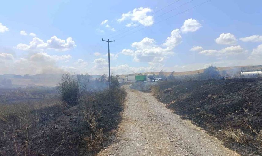 Susurluk'ta otluk alan yangını kontrol altına alındı