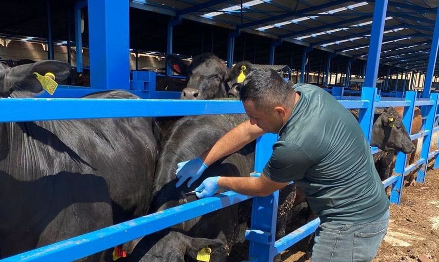 Beyşehir'de hayvan sağlığı için kapsamlı denetimler devam ediyor