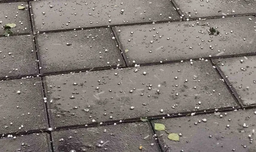 Ardahan'da sağanak ve dolu tarım ve ulaşımı olumsuz etkiledi