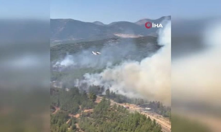 Muğla’nın Fethiye ilçesindeki yangın da dahil, 202 yangın kontrol altına alındı