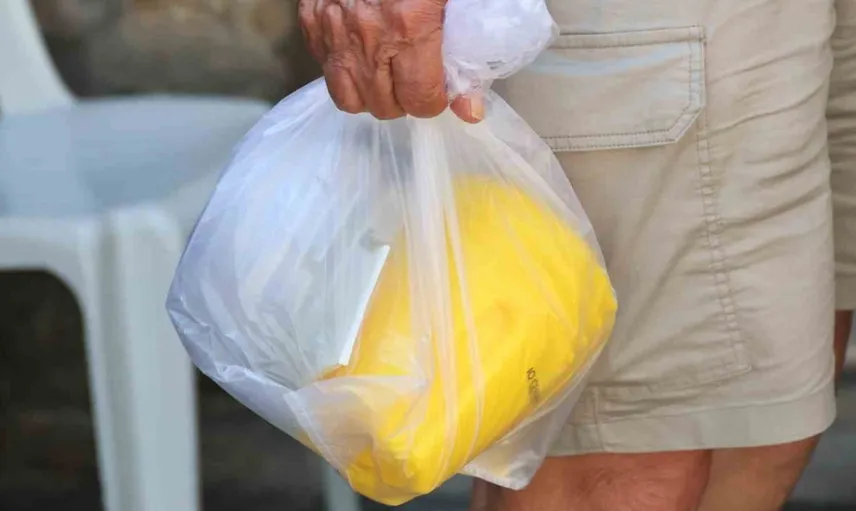Bodrum'da meyve sineğiyle mücadelede yeni adım: Biyoteknik tuzak dağıtılıyor