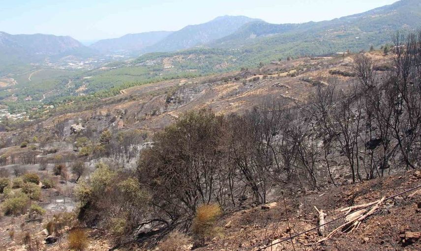 Emekli itfaiyeci, yılların tecrübesiyle evini alevlere teslim etmedi