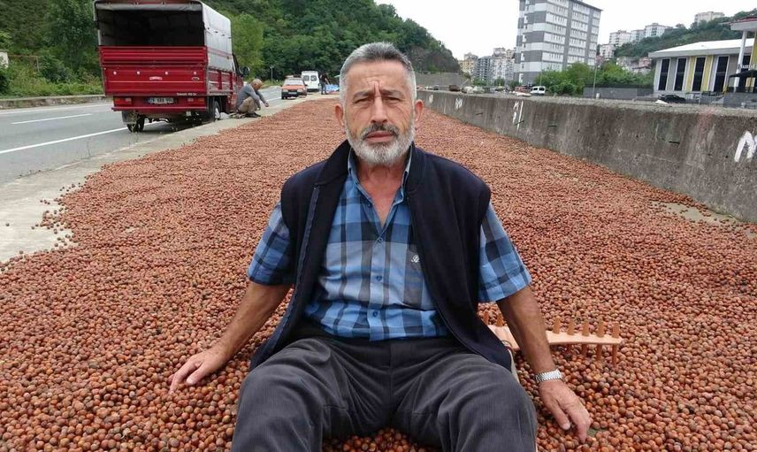 Giresun'da fındık üreticileri TMO'ya yöneliyor