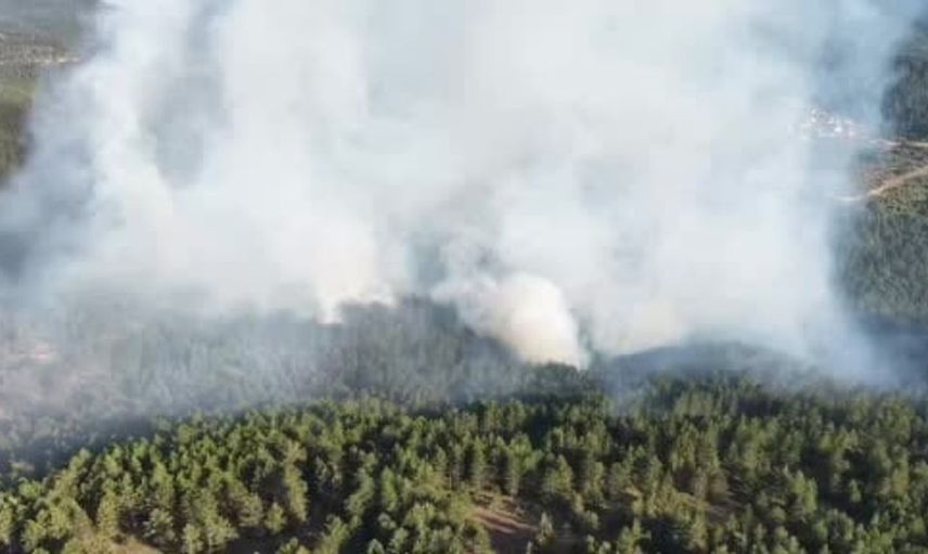 Kastamonu'da çıkan orman yangını söndürüldü: Ekipler soğutma çalışmalarına devam ediyor
