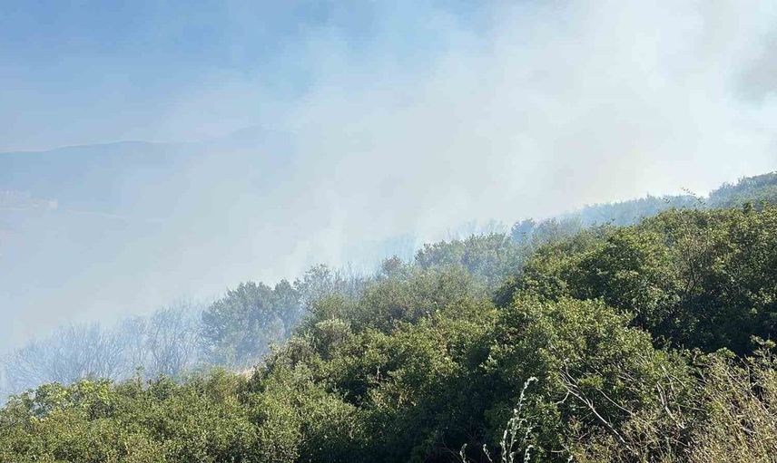 Bursa’da ormanlık alanda yangın başladı