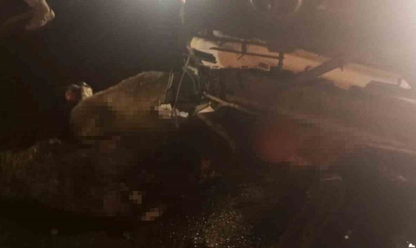 Diyarbakır’da otomobilin çarptığı koyun sürüsünde 15 hayvan telef oldu