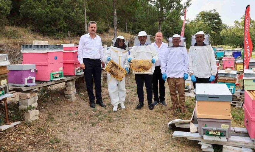 Bilecik'te bal üretimi artıyor: 22 bin 500 kovanla 135 ton bal üretimi gerçekleştiriliyor