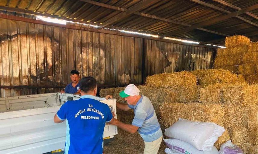 Muğla'dan yangın mağduru üreticiye destek: 1500 balya ve yem yardımı