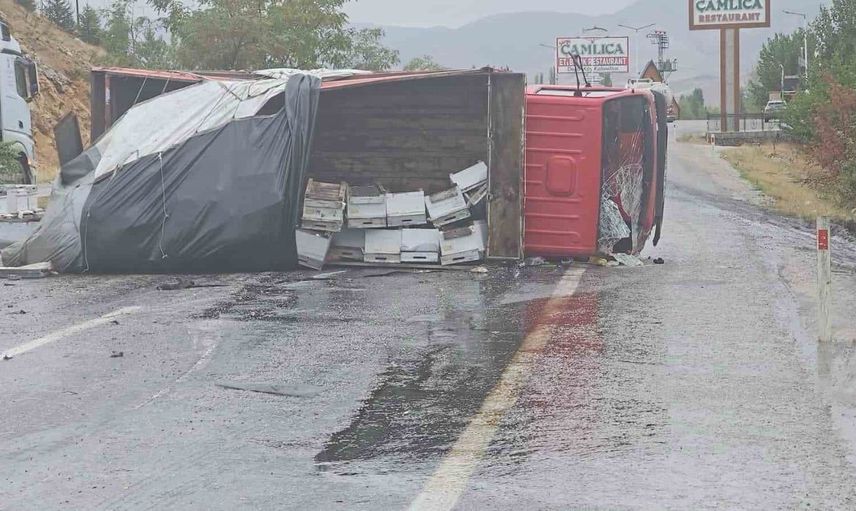 Malatya'da arı yüklü kamyonun devrilmesi sonucu iki kişi yaralandı