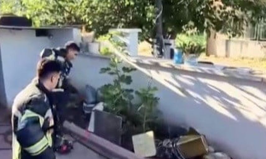 Osmaniye'de evin bahçesine giren yılan yakalandı ve doğal yaşam alanına bırakıldı