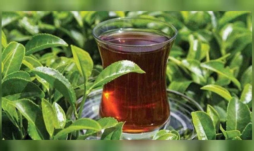 A101, Şok, Migros, Carrefoursa zam sonrası çay fiyatları: Filiz çay fiyatı ne kadar oldu?