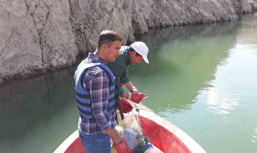 Van'da sazangiller av yasağı sona erdi, balıkçılar dikkatli olmalı