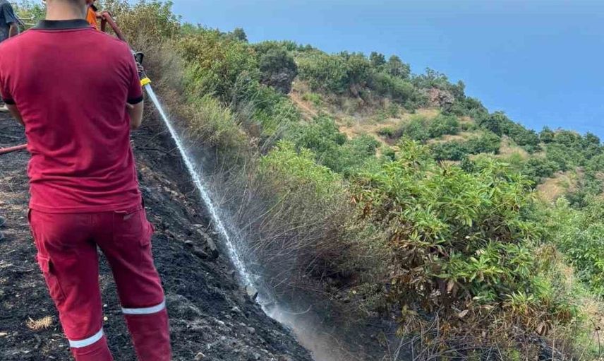 Gazipaşa'da çıkan örtü yangını kontrol altına alındı