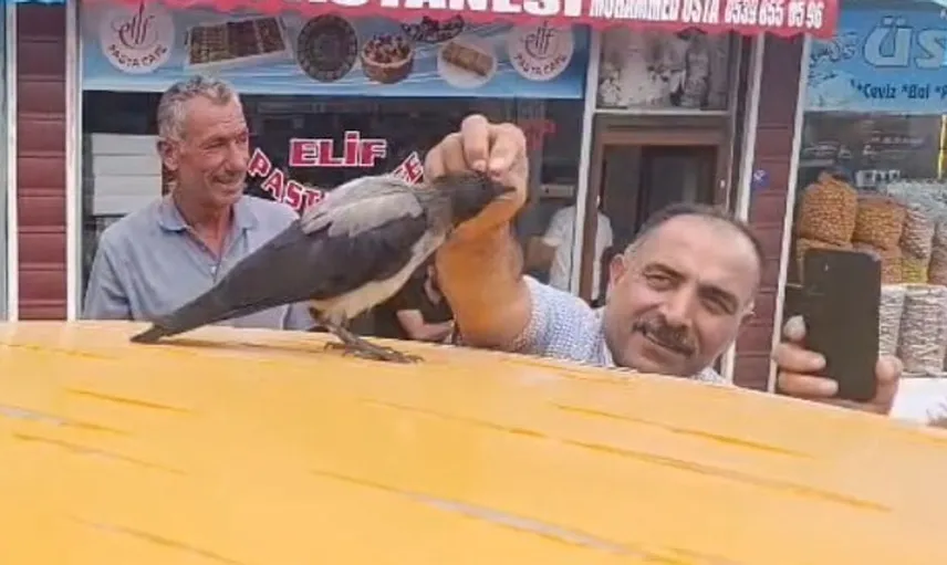 Adilcevaz'da kasap ve karga dostluğu herkesi gülümsetiyor