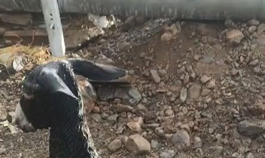 Elazığ'da kuyuya düşen eşeği itfaiye kurtardı