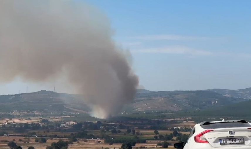 Mudanya'da çıkan orman dışı yangınına havadan ve karadan müdahale ediliyor