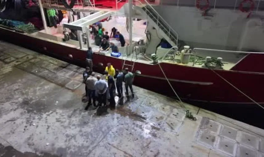 İstanbul'da yeni balık sezonu başladı: Balıkçılar av yasaklarının kalkmasını coşkuyla karşıladı
