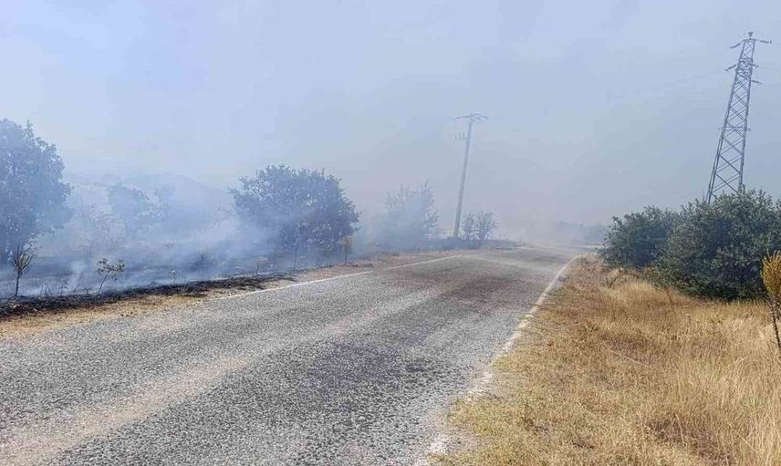 Gördes’teki yangın ormanlık alana sıçradı, ekipler müdahale etti