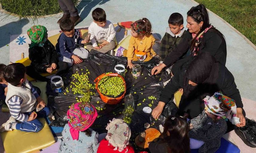 Diyarbakır'da çocuklar zeytin kırarak geleneksel üretimle tanıştı