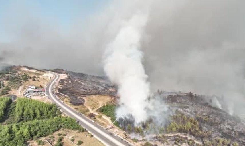 Kumluca’da yangından etkilenen hayvanlara yerinde müdahale