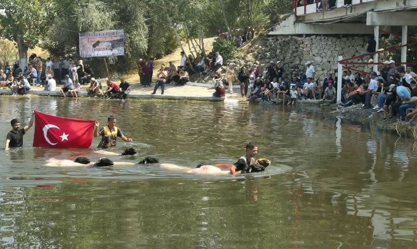 Denizli'de 853 yıllık gelenek: Sudan koyun geçirme festivali coşkuyla kutlandı