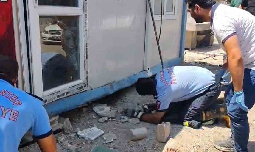 Gaziantep'te köpek ve yavruları konteynerden kurtarıldı