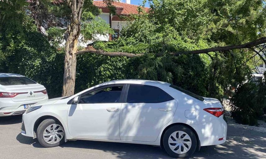 Sivas'ta kuvvetli rüzgar ağaç devirdi, küçük çaplı hasar oluştu