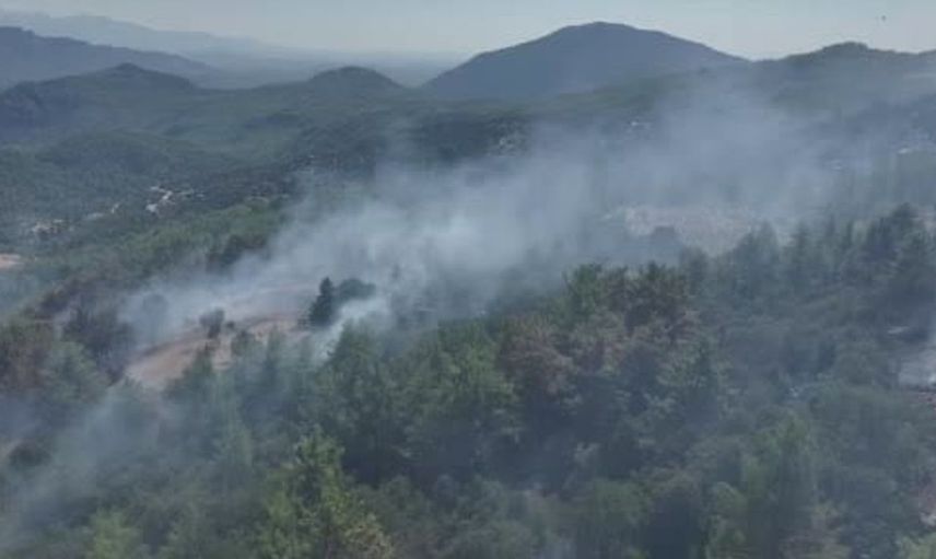 Bucak'ta orman yangını kontrol altına alındı, soğutma çalışmaları sürüyor
