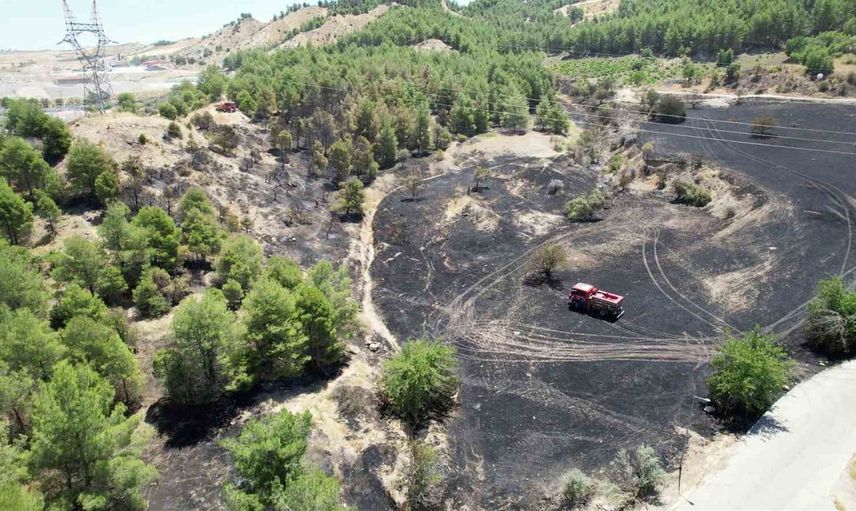 Adıyaman'da orman yangınında birçok ağaç zarar gördü