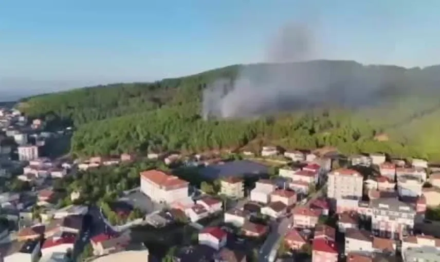 Sultanbeyli’de çıkan orman yangınına iki tutuklama: Yangının arkasındaki kişiler yakalandı