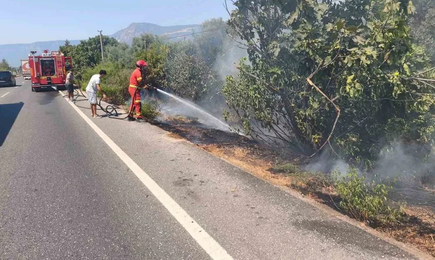 Yol kenarındaki alevler hızla kontrol altına alındı