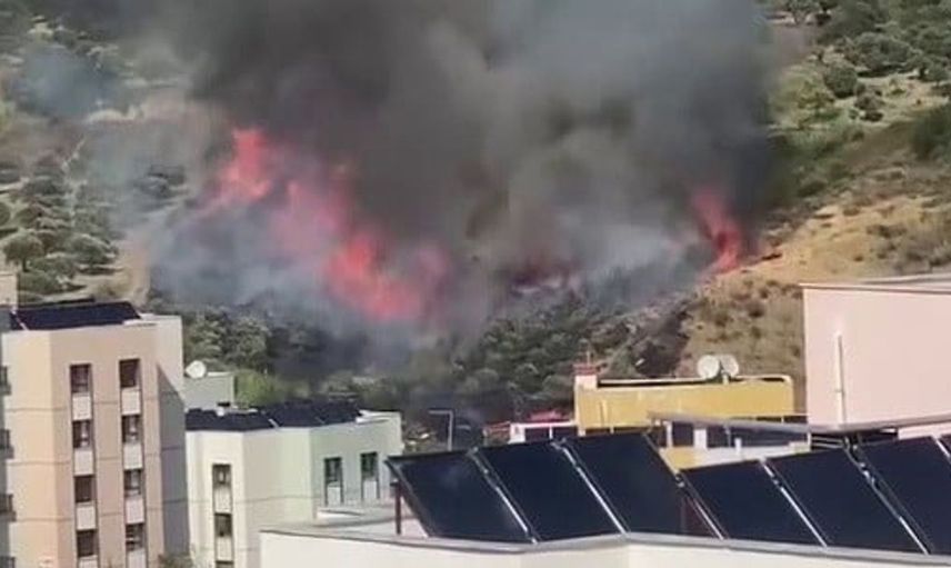 Hatay'daki zeytinlik yangını kısa sürede kontrol altına alındı