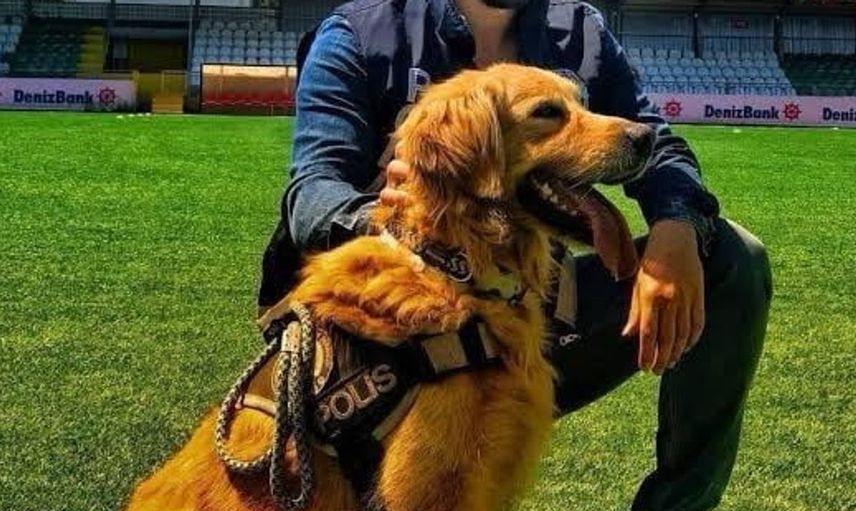 Bodrum'daki çatışmada şehit düşen polisin katili hastanede yaşamını yitirdi
