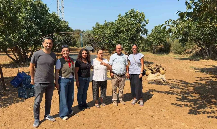 Aydın incirinin kalitesi için denetimler devam ediyor