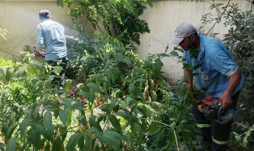 Mersin'de park ve yeşil alanların bakımı titizlikle devam ediyor