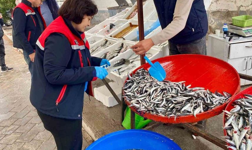 Dazkırı'da balık satış noktalarına kapsamlı denetim