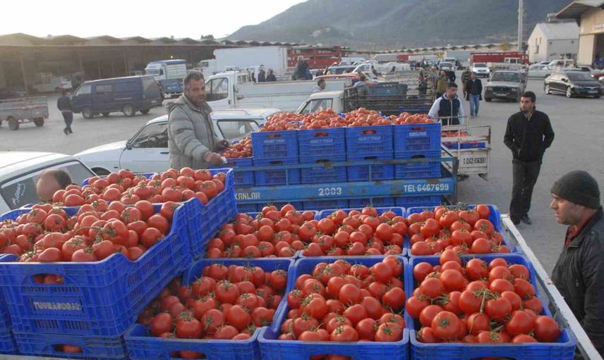 Muğla’nın haziran ayı ihracatı 125,9 milyon dolar