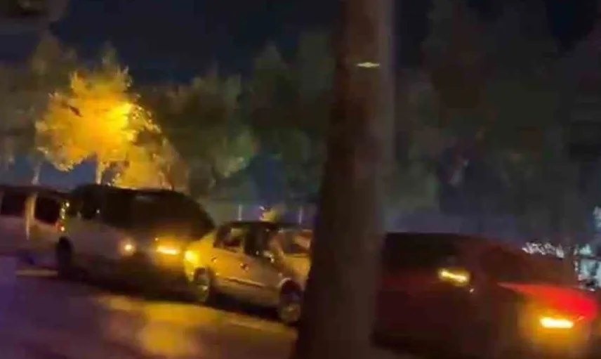 Bolu'da 2 köpeğin aniden yola çıkması zincirleme kazaya yol açtı