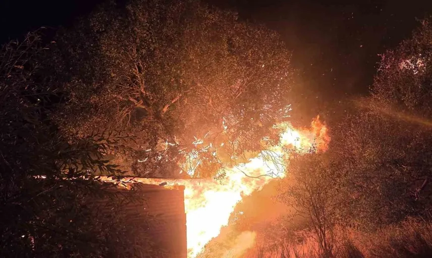 Elazığ'da odunluktaki yangın, otluk alana sıçrayarak kontrol altına alındı