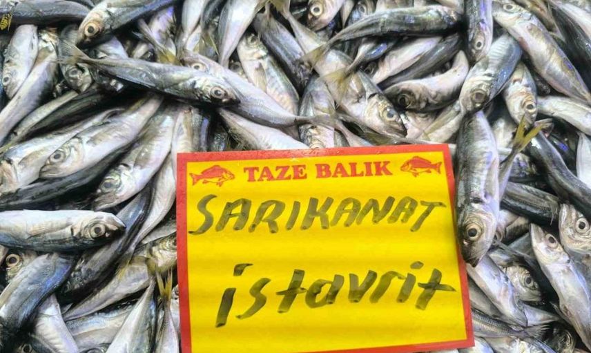 Balık sezonu açıldı: Afyonkarahisar'da tezgahlar hareketlenmeye başladı