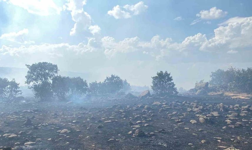 Karakoçan'da orman yangını kontrol altına alındı