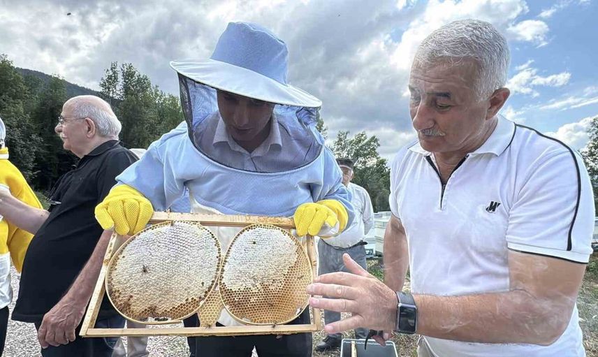 Yenice ıhlamur balında hasat sezonu başladı